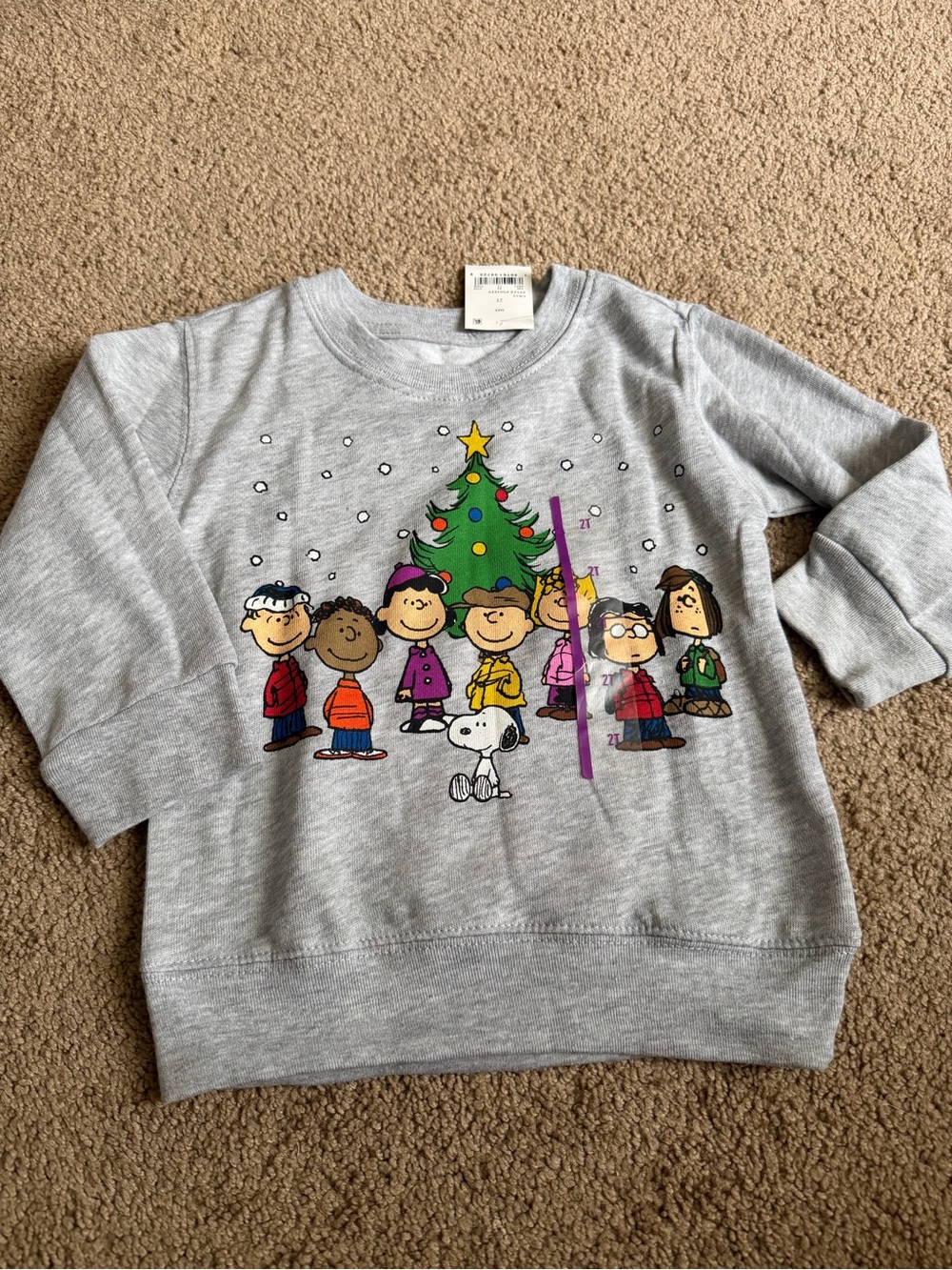 Peanuts Gang Kids 2T Light Gray Holiday Sweatshirt with Charlie Brown
